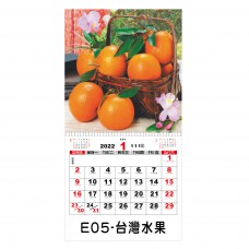 E05 台灣水果